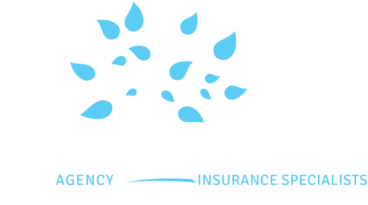 Chestnut Tree Agency Insurance Specialists